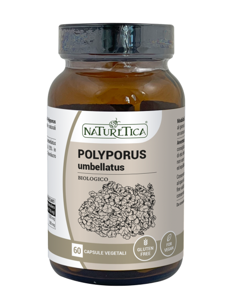 Polyporus Umbrellatus - Naturetica