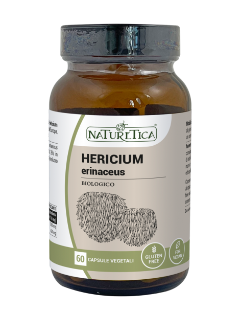 Hericium Erinaceus - Naturetica