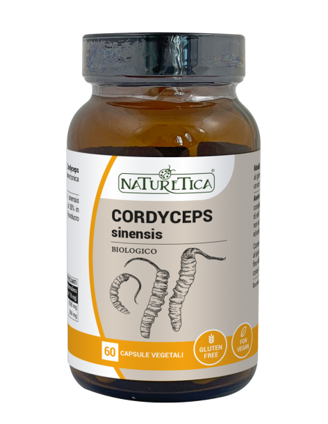 Cordyceps Sinesis - Micoterapia - Naturetica