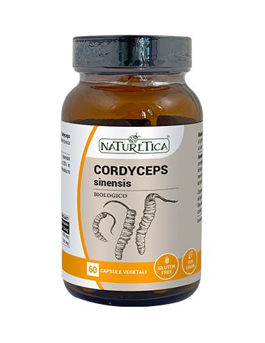 Cordyceps Sinesis - Micoterapia - Naturetica