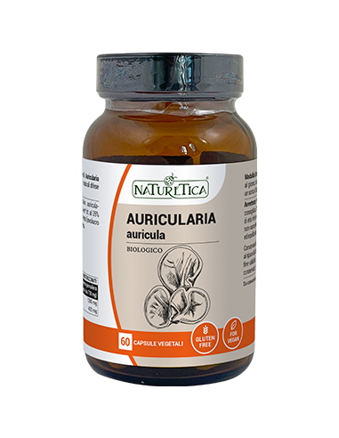 Auricularia - auricula - Naturetica