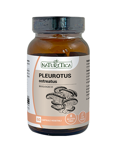 Pleurotus Ostreatus - Naturetica