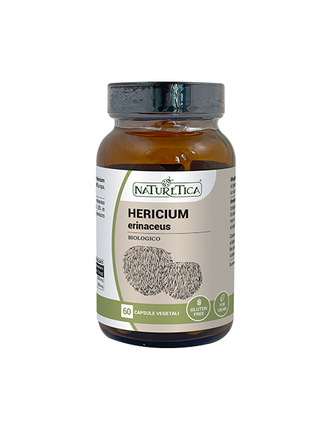 Hericium Erinaceus - Naturetica