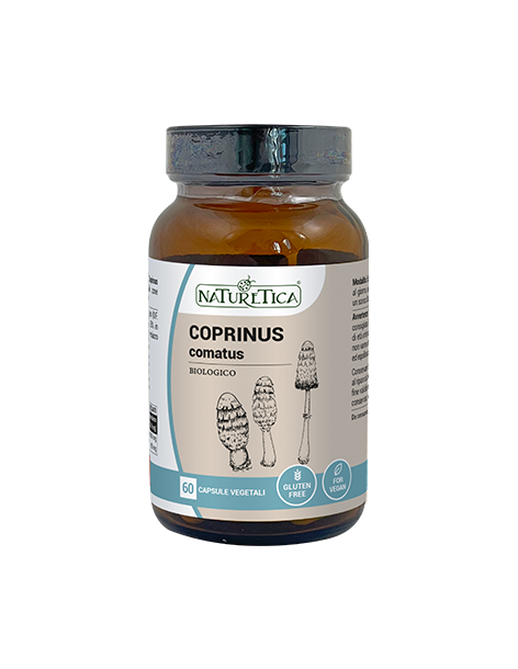 Coprinus Comatus - Naturetica