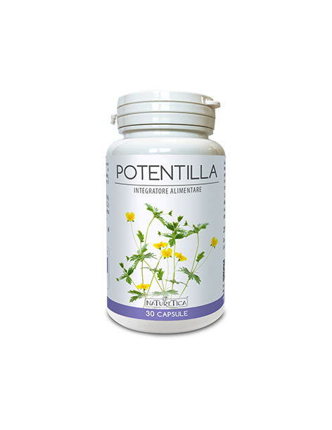 Potentilla - Naturetica